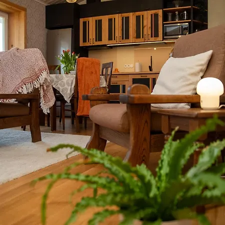 Authentic Estonian Wood Interior Apartment, Sunset Balcony Views, Lahemaa Daire *